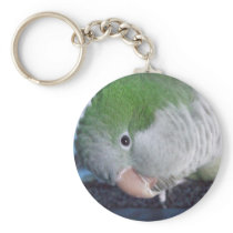 Whatcha Doin'? Quaker Parakeet Keychains