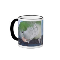 Whatcha Doin'? Quaker Parakeet Mugs
