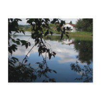 Whatcom Creek Waterway Post Cards