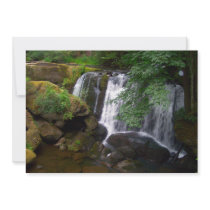 Whatcom Falls