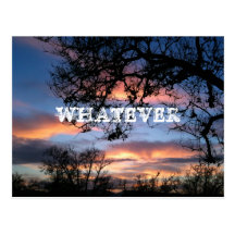 WHATEVER POSTCARD