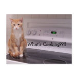 What's Cooking??!! postcards