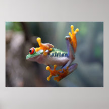 What's going on? Frog Posters