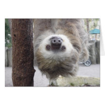 What's Hangin' ? Card