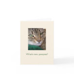 What's new, pussycat? Note Cards