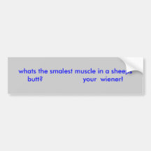 whats the smalest muscle in a sheeps butt?     ... bumper stickers