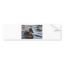 What's up...Duck Bumper Sticker