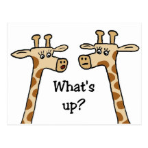 What's up? Giraffe postcards