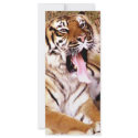 What's up_ rack cards