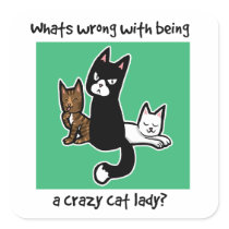 Whats wrong with being a crazy cat lady sticker