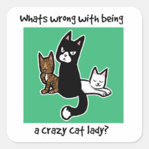 Whats wrong with being a crazy cat lady sticker