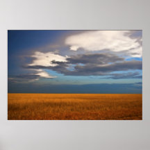Wheat Field Fine Oil Painting Posters
