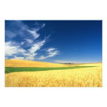 Wheat harvest on the Palouse in Eastern photography