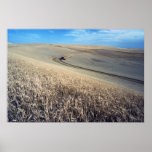 Wheat harvest posters
