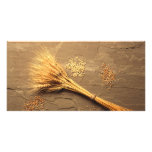 Wheat photo cards