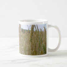 Wheat Plant Seeds Coffee Mugs