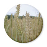 Wheat Plant Seeds magnets