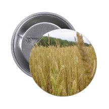 Wheat Seed Pins