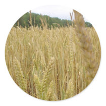 Wheat Seed Sticker