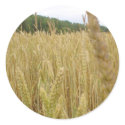 Wheat Seed stickers