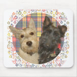 Wheaten & Black Scotties on Tartan mousepads