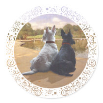 Wheaten & Black Scottish Terriers