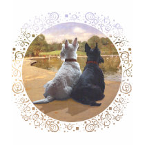 Wheaten & Black Scottish Terriers