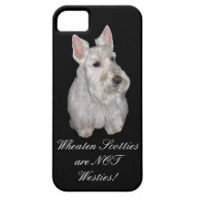 Wheaten Scotties are NOT Westies! iPhone 5 Cover