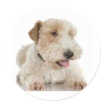 Wheaten Terrier Sticker