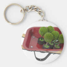 WheelbarrowPlantsTools051411 Keychains