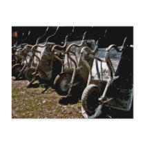 Wheelbarrows 2 post card