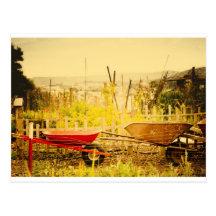 wheelbarrows in a garden postcards