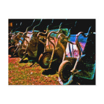 Wheelbarrows Post Card