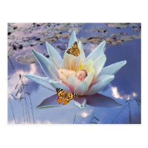 When a little baby goes to sleep post cards