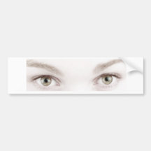 When Birds Attack Helmet Sticker - Sincerity Bumper Sticker