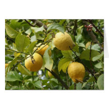 When Life Hands You Lemons . . . Greeting Cards