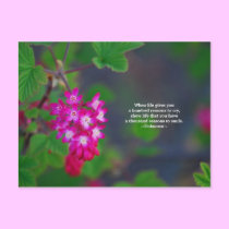 When life postcards