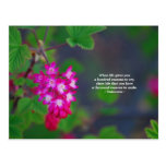 When life postcard