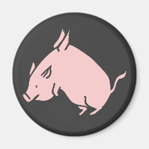 When pigs fly magnets