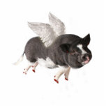 When Pigs Fly photo sculptures