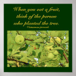When you eat a fruit...Quote Poster posters