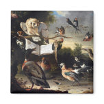 Where Bird Songs Come From Magnet