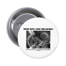 Where Have I Seen This Before? Pyralid Moth Pinback Button