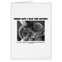 Where Have I Seen This Before? Pyralid Moth Greeting Card