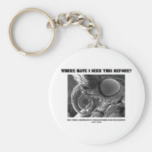 Where Have I Seen This Before? Pyralid Moth Keychain