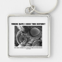 Where Have I Seen This Before? Pyralid Moth Key Chains