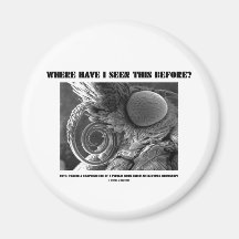 Where Have I Seen This Before? Pyralid Moth Refrigerator Magnets