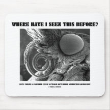 Where Have I Seen This Before? Pyralid Moth Mousepads