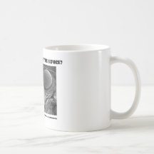 Where Have I Seen This Before? Pyralid Moth Coffee Mugs