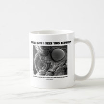 Where Have I Seen This Before? Pyralid Moth Coffee Mugs